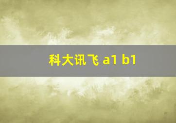 科大讯飞 a1 b1